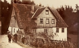 jelu-verarbeitet-seit-mehr-als-100-jahren-pflanzenfasern-und-cellulose