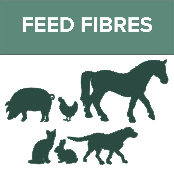 Feed fibres